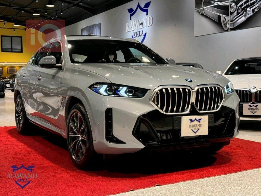 BMW X6